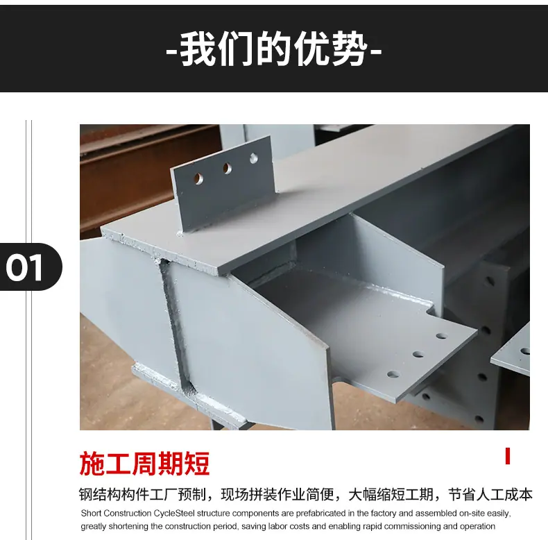泰宏英文首版钢结构_06.jpg
