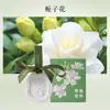 Aromaterapia para Armario Hojas Perfumadas Yeso Aroma Adorno Colgante Dormitorio Coche Bálsamo Sólido Aroma Desodorante Fragancia de Larga Duración Soporta Dropshipping