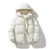 Comercio Exterior Chaqueta de Invierno para Hombre con Relleno Transfronteriza Pareja Casual con Capucha Ropa Exterior de Algodón Espeso Cálido