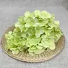 5 Cabezas de Ramo de Bienestar Hortensia Flores Artificiales Accesorios de Boda Base Decoración Flores Falsas Venta al por Mayor