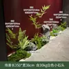 Combinación de plantas verdes artificiales tira larga paisajismo rincón de entrada interior jardinera adorno de planta centro comercial ventana musgo ornamental
