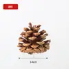 Piñas de Color Primario de Madera Planta del Noreste Piñas Colgantes para Árbol de Navidad Bolas de Pino Paquete de Material Hecho a Mano Decoración Navideña Piñas