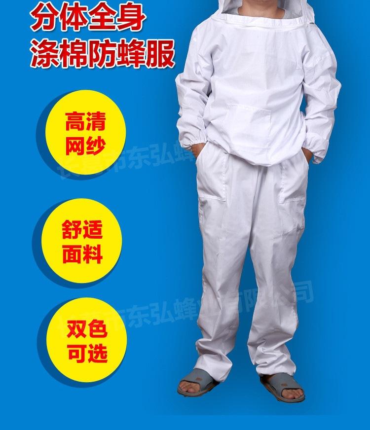 分体