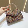 Nuevo Diseño Nicho Bolso de Mano con Pedrería Moda Lujo Fiesta Bolso de Noche para Mujer Bolso de Hombro Versátil Bolso de Mano