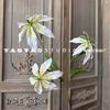 Impressão 3D Guirlanda Lírio 3 Lírios de Fogo Decoração de Auditório de Casamento Flor Artificial Casa Macia Hotel Arranjo de Flores