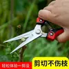 Tijeras de Podar Florales y Frutales de Acero Inoxidable, Potentes Tijeras para Recolectar Fruta, Tijeras para Podar Perales, Tijeras para Árboles Frutales, Tijeras para Aclareo de Fruta, Modelo Nuevo