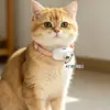 Juguete Nuevo para Gatos Transfronterizo Láser Molestador Collar Recargable LED Infrarrojo Juguete para Aliviar el Aburrimiento del Gato Palo Molestador para Gatos