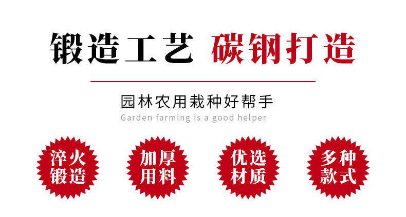 详情_02.jpg