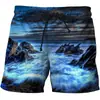 Calças Casuais Estilo Havaiano Criativas Estampa Digital 3D Lazer Resort Calças de Praia 2024 Comércio Exterior Amazon Novo