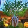 Simulação de árvore sineira japonesa Grande Simulação Árvore Verde Decoração Planta Paisagismo Interior Árvore falsa Rede Árvore Vermelha Planta Árvore