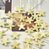 Forma de Estrella de Mar Cerámica Colorida Estrella de Mar Fondo Plano Agujero Cerámico Cuentas Hecho a Mano Accesorios DIY Accesorios para Collares Pulseras