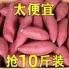 Batatas Doces Vermelho Castanho Recém-Colhidas 5kg Batatas Doces Sazonais com Corações de Açúcar, Batatas Doces Vermelho Melancia de Solo Arenoso, 5 Batatas Doces Defumadas
