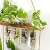 Nordic Criativo Madeira Maciça Hidropônico Tubo de Ensaio Vidro Pendurado na Parede Decoração de Parede Vaso Casa Planta Pendurado na Parede Recipiente de Decoração