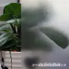 Película de Vidrio Esmerilado, Translúcida y Opaca, Película Autoadhesiva de Protección Solar, Pegatina para Ventana de Puerta Corredera de Baño, Impermeable E18
