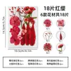 Kit de materiales DIY de flores secas mixtas para estilismo de maquillaje, maquillaje facial para retratos personales, especímenes de plantas de flores reales en relieve