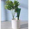 Dispositivo de riego de flores perezosas en forma de embudo para plantas verdes y plantas en maceta de viaje, gotero de riego automático, artefacto de riego para flores y plantas