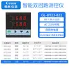 Controlador de temperatura, presión y nivel de líquido de doble circuito y doble haz de luz con dos instrumentos de visualización y dos entradas de señal 485