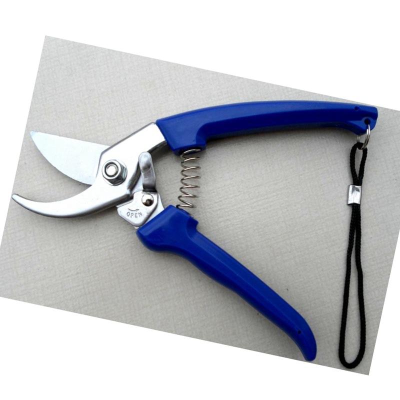 1171680353mc9bd5a88-9d6d-40cc-