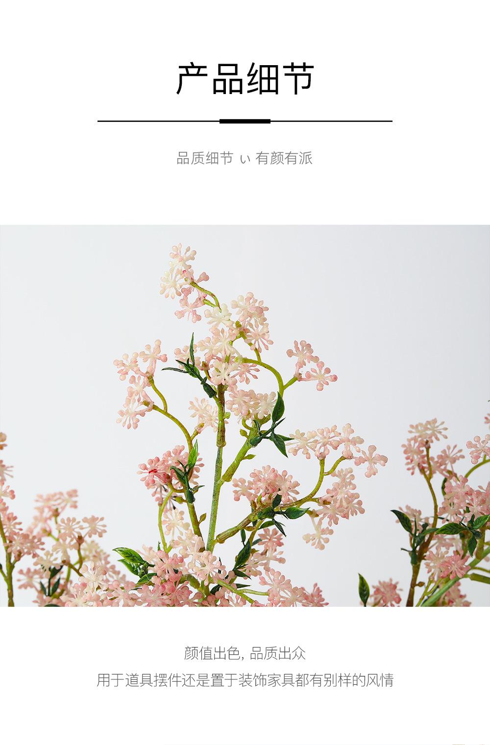 小单支燕麦果详情图