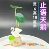 Decoração de prato de entrada fria de restaurante de hotel conceito artístico pequenos pratos criativos embelezamento flores e plantas embelezamento de prato de sashimi