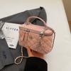 Bolso Pequeño de Bordado de Diamantes para Mujer 2024 Nuevo Verano Versátil Bolso Cruzado de Cadena Popular Súper Caliente Mini Bolso Cuadrado Pequeño