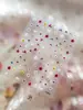 Adesivos para Nail Art Padrão Formiga Adesivos de Unha Borboleta Versátil Exclusivo Celebridade da Internet Fonte Original Atacado Acessórios para Nail Art Yt8801