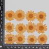 Flor Seca de Crisantemo de Cristal Blanco Gota de Pegamento en Relieve Funda para Teléfono Móvil/Decoración Facial para Uñas Calcomanía DIY Infantil Marco de Fotos Marcador Lámpara de Mesa Material