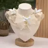 Lenço para Saliva de Cachorro, Lenço para Gato, Cães de Porte Pequeno Teddy Bichon, Lindo Lenço de Renda Princesa para Gato, Suprimentos para Pets