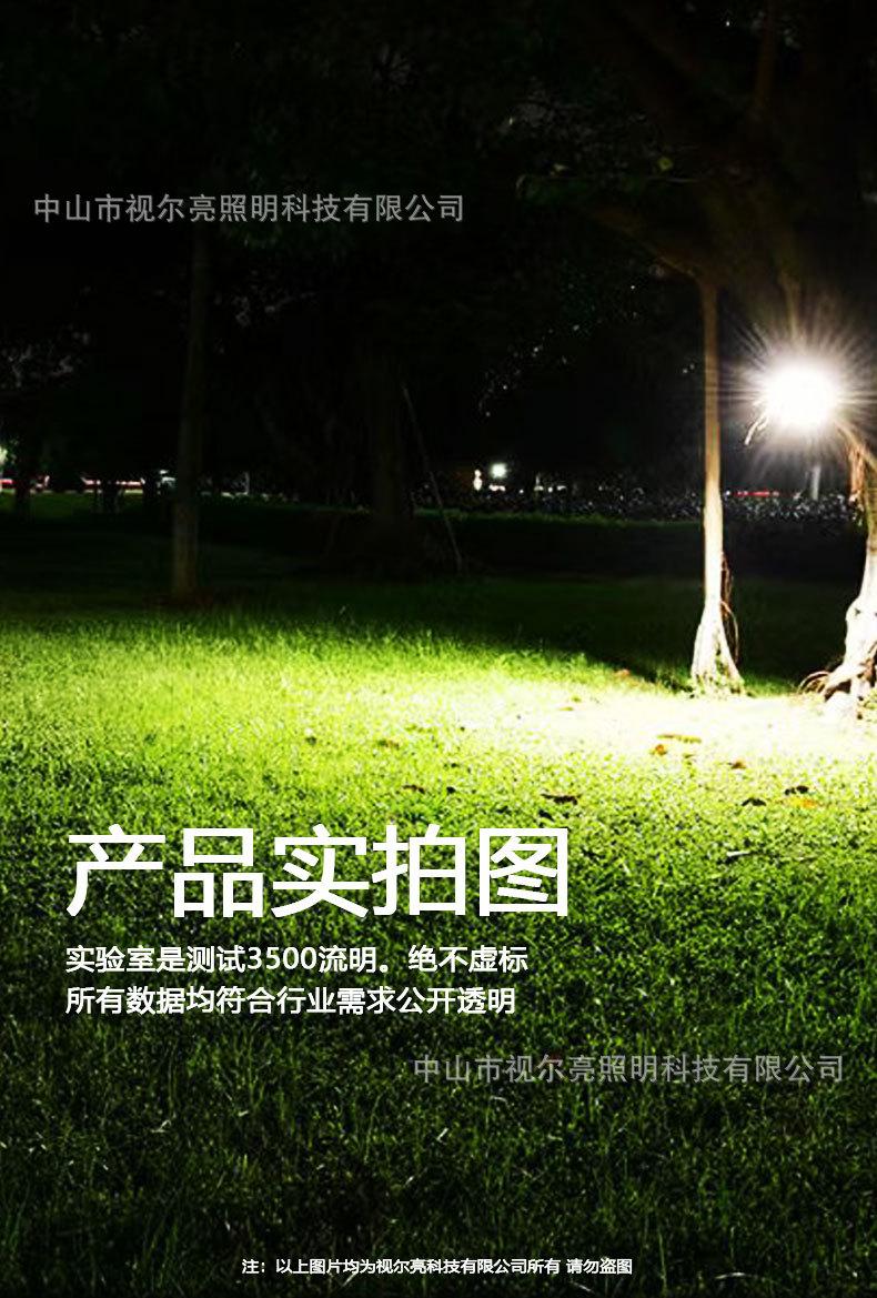 d5视尔亮详情_11.jpg