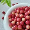 Pulsera de Bodhi de Flor Flotante de Myrica rubra Natural Cuentas Dispersas Cuentas Redondas Cuentas de un Solo Buda Wen Play DIY Accesorios para Pulsera Accesorios