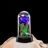 Flor Preservada Cúpula de Cristal Mariposa Lámina de Oro Rosa Navidad Día de San Valentín Luz Nocturna Regalo de Cumpleaños Decoración de Escritorio