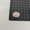 Accesorios para Joyería de Concha de Perla de Colores Electrochapados Materiales para Fundas de Teléfono con Pegamento de Crema Accesorios de Resina Venta al por Mayor DIY
