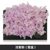 Hortensia de madera Flor eterna Rosa eterna central Caja de regalo Cubierta de vidrio Material de la flor Material de la flor preservada Material de la flor eterna