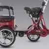 Triciclo Eléctrico Asistido para Personas Mayores, Bicicleta Triciclo Eléctrico con Pedales, Patinete Doméstico Pequeño para Dos Adultos