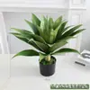 Simulação Planta Verde Bonsai Sisal Folha Grande Gladíolo Planta do Deserto Tropical Janela Paisagismo Decoração Planta Artificial Ponto