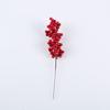 Decoración de Flores de Frutas Rojas Secas Accesorios para Fotografía Adornos de Mesa Navideños Caja de Regalo Fruta de la Fortuna de Bayas Plantas Verdes Realistas de Alta Calidad