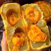Yema de huevo salada Golden Sun 20 pastel de luna cantonés yema de huevo albóndigas de arroz crujiente huevo de pato salado amarillo materias primas para hornear gran cantidad descuento