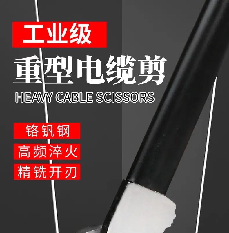 详情_01.jpg