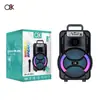 O8K Nuevo Modelo Ok-8105W Altavoz Portátil de 8 Pulgadas con Micrófono Inalámbrico, Altavoz Cuadrado RGB para Baile al Aire Libre y Karaoke para Cantantes