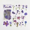 Poesía de Azúcar Planta Serie Naturaleza Floral Paquete de Pegatinas para Diario de PET Diario Fresco Pegatinas Decorativas DIY 8 Diseños