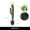 Planta Verde de Cactus Simulada en Maceta Planta Suculenta Tropical Combinación de Paisaje de Cactus Ventana de B&B Café