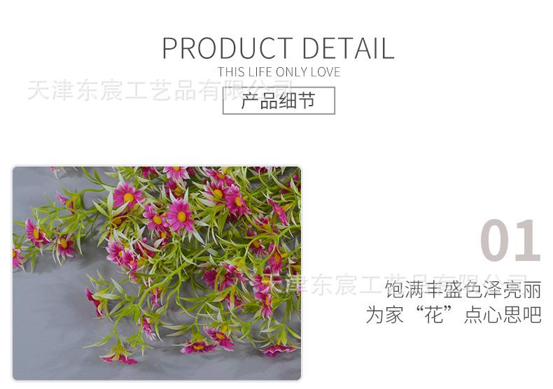 详情_08.png