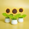 Girassol Acabado Planta em vaso Tecido à mão Buquê de flores Terminado Flor Eterna Dia dos Professores Dia das Crianças Presente Mercado Noturno Stall