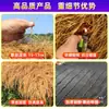 Tapetes Plásticos Estilo Palha para Áreas Turísticas Rurais, Quiosques com Telhado de Lata e Palha, Decoração de Pátio e Isolamento