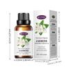 Aceite Esencial Inglés Completo Aceite Esencial Exportación Transfronteriza Difusor Sin Fuego Interior Soluble en Agua Aromaterapia Aceite Esencial