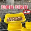 Contenedor de Comida para Palomas en Caja, Comedero Antisalpicaduras, Bebedero Colgante para Palomas y Codornices, Caja de Agua, Suministros Colgantes, Caja de Comida para Pájaros, Antiderrames, Plástico para Palomas de Competición