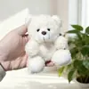 Oso Lindo con Suéter Colgante Juguete de Peluche Muñeca Oso de Peluche Colgante de Bolsa Llavero Muñeca Muñeca