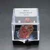 Cristal Natural Minério Rocha Pedra Bruta Cristal Mineral Ornamentos Presente de Ensino de Ciências para Crianças Coleção de Espécimes de Minério