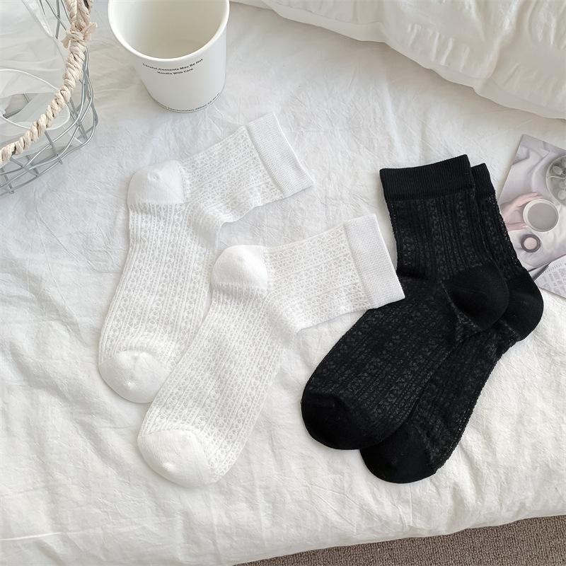 2024-05-18 172840.jpg