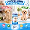 Tapetes Higiênicos KineShineX para Filhotes, Auxílios para Treinamento Sanitário de Pets em Ambientes Internos, Guias de Posicionamento para Tapetes Higiênicos de Filhotes